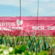 Los Huertos Solidarios de la Fundación Soliss siguen incrementando su producción y demanda