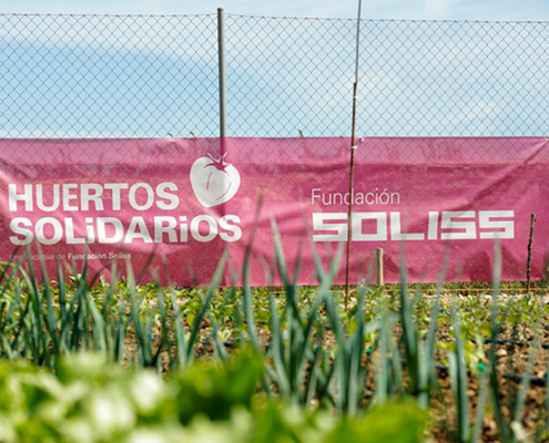 Aumenta la demanda y producción de los huertos solidarios de la Fundación Soliss